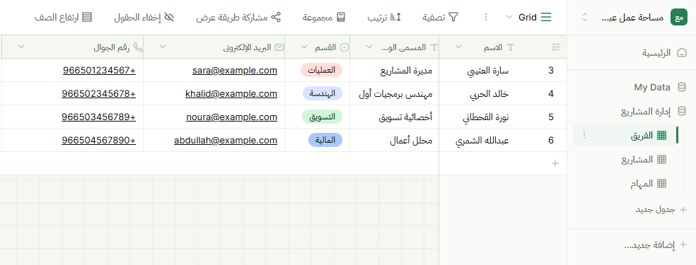 A capture of the Jadawel interface: an Arabic grid view showing a team’s projects, due dates and progress.